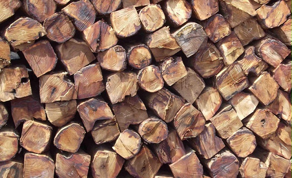 菲律宾木材