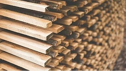 家装木材分类与辨别
