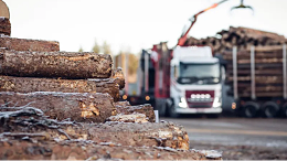 罢工活动对芬兰木材行业的不确定影响
