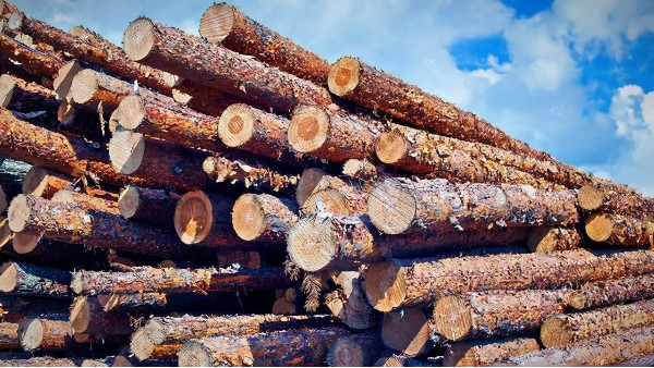 木材市场需求