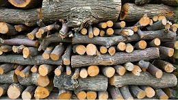 木材热弯工艺,你了解多少?