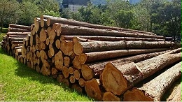 超级木材可替代合金