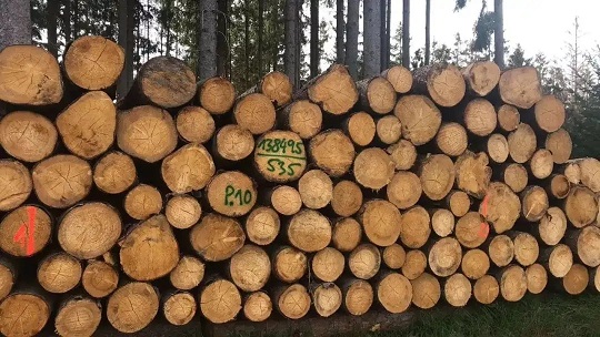 欧洲木材