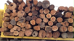 欧盟暂停进口缅甸木材，缅甸木材出口商面临着艰难的贸易条件