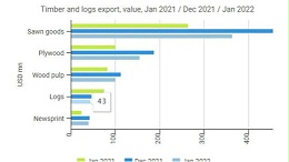 今年1月份俄罗斯原木出口降幅超4成