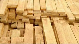 木材标准化助力林业产业由小到大、由弱到强