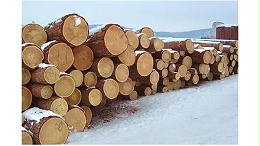 木材价格开始反攻，又现暴涨趋势
