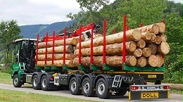 大宗商品持续高位！木材价格走势仍旧存在变数！