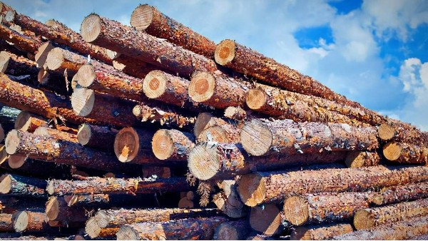木材市场需求