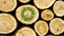 全球木材供给真的跟不上暴涨的需求了吗？