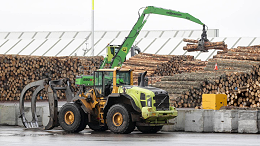 新西兰木材年底”躺平“，期待明年复苏