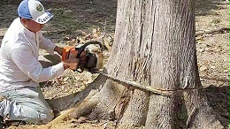德福林缅甸基地工人正在锯木
