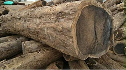 木材的酸碱性对木材使用的影响