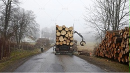 木材受不断攀升的能源成本影响