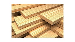 木材将在应对能源危机中起到关键作用