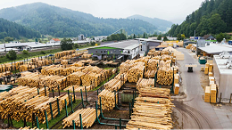 荷兰和日本抢占全球贸易木屑颗粒的市场份额