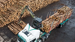 2021全球木材市场：北美、欧洲木材价格高歌猛进，亚洲价格疲软