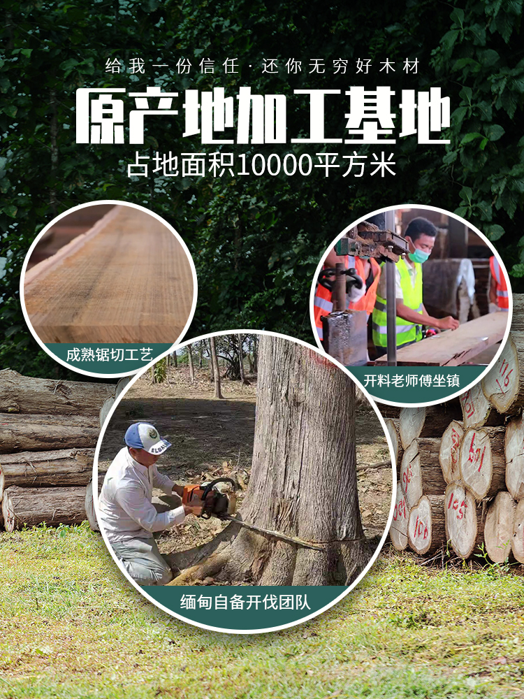 德福林：3大木材加工基地